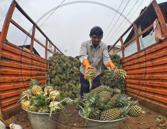 Fresh Pineapples/Rythu Bazar/Raithu Bazar/Fruit Market