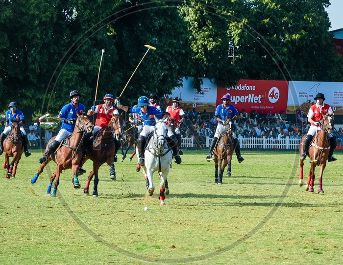 Polo Match in action.