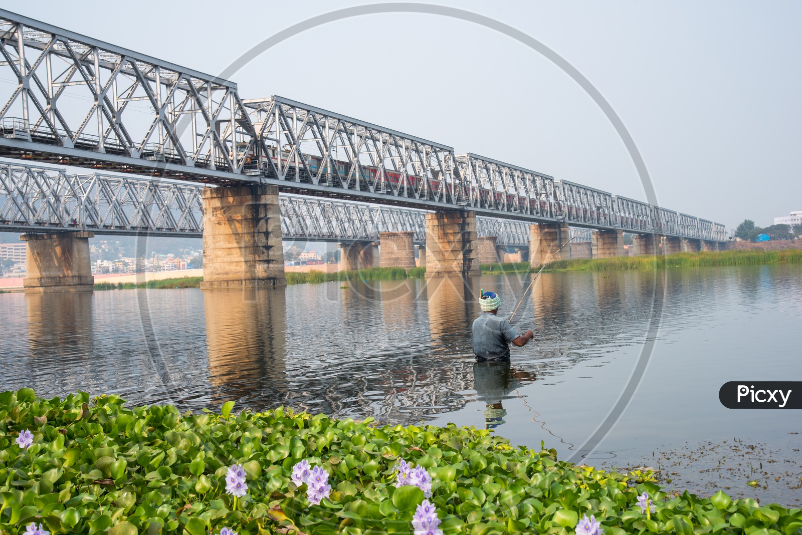 Fisherman in River Krishna, Vijayawada