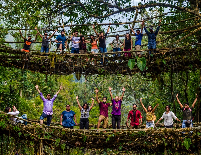 Living roots bridge, India