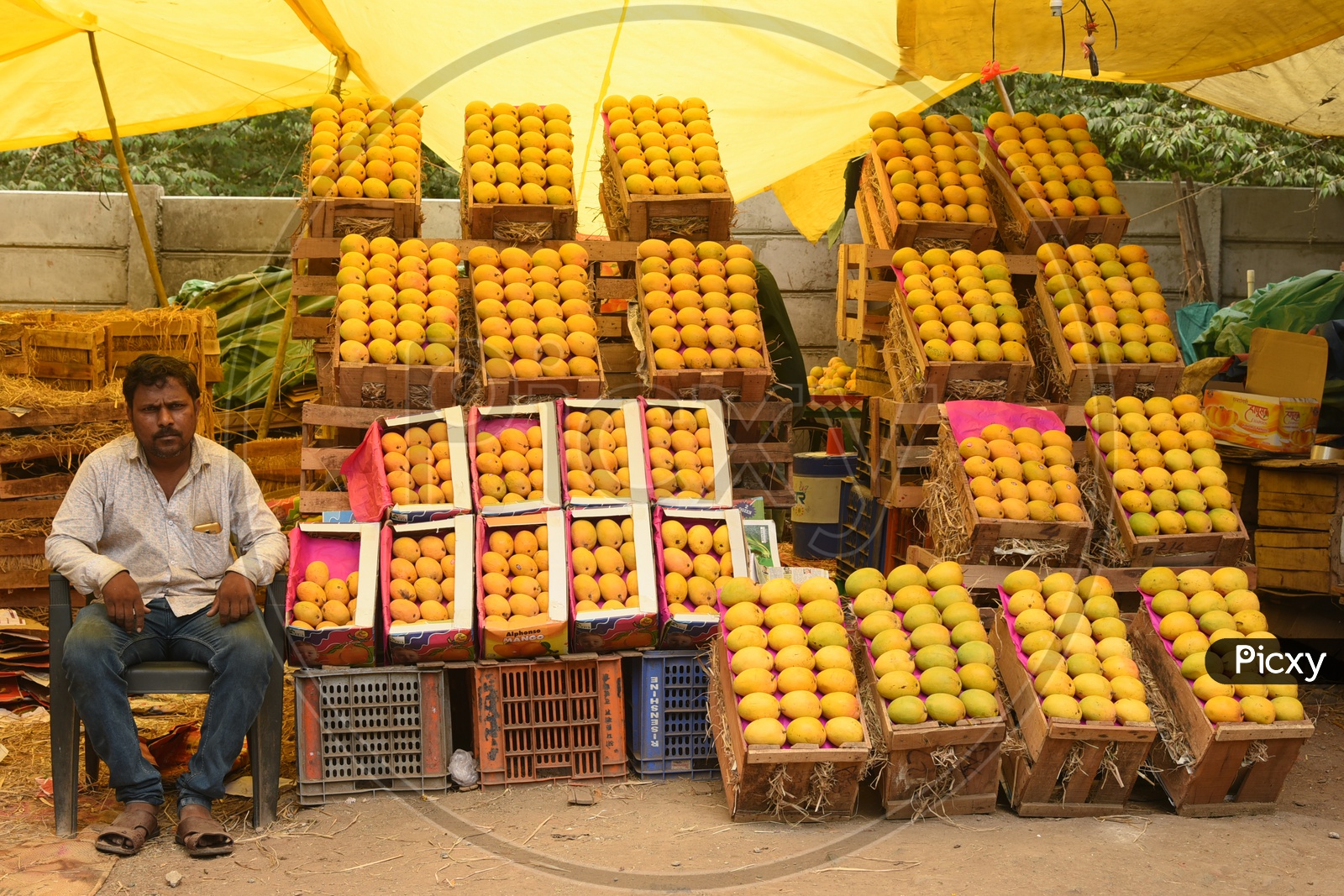 Vendor selling Mangoes