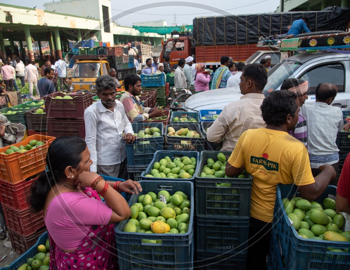 Busy sale of mangoes at Kothapet fruit market