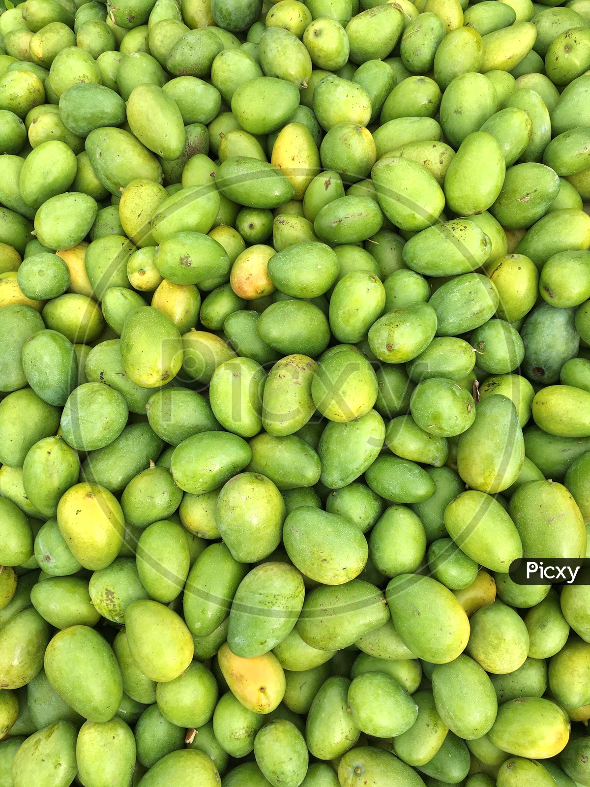 Fresh Mangoes/Rythu Bazar/Raithu Bazar/Fruit Market
