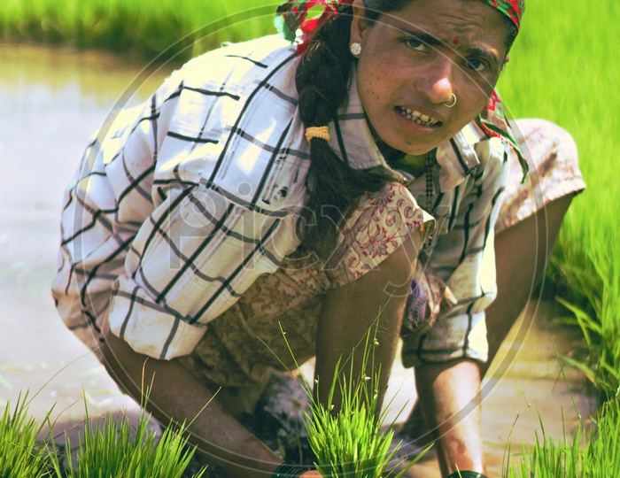 A working women in rice field