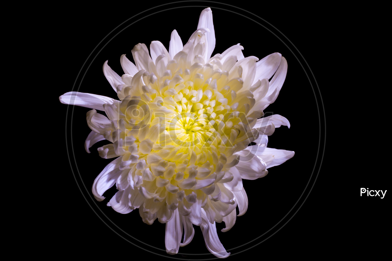 ★★來花♧★★ b4bd2f1c522e657a978f54751dfdc9