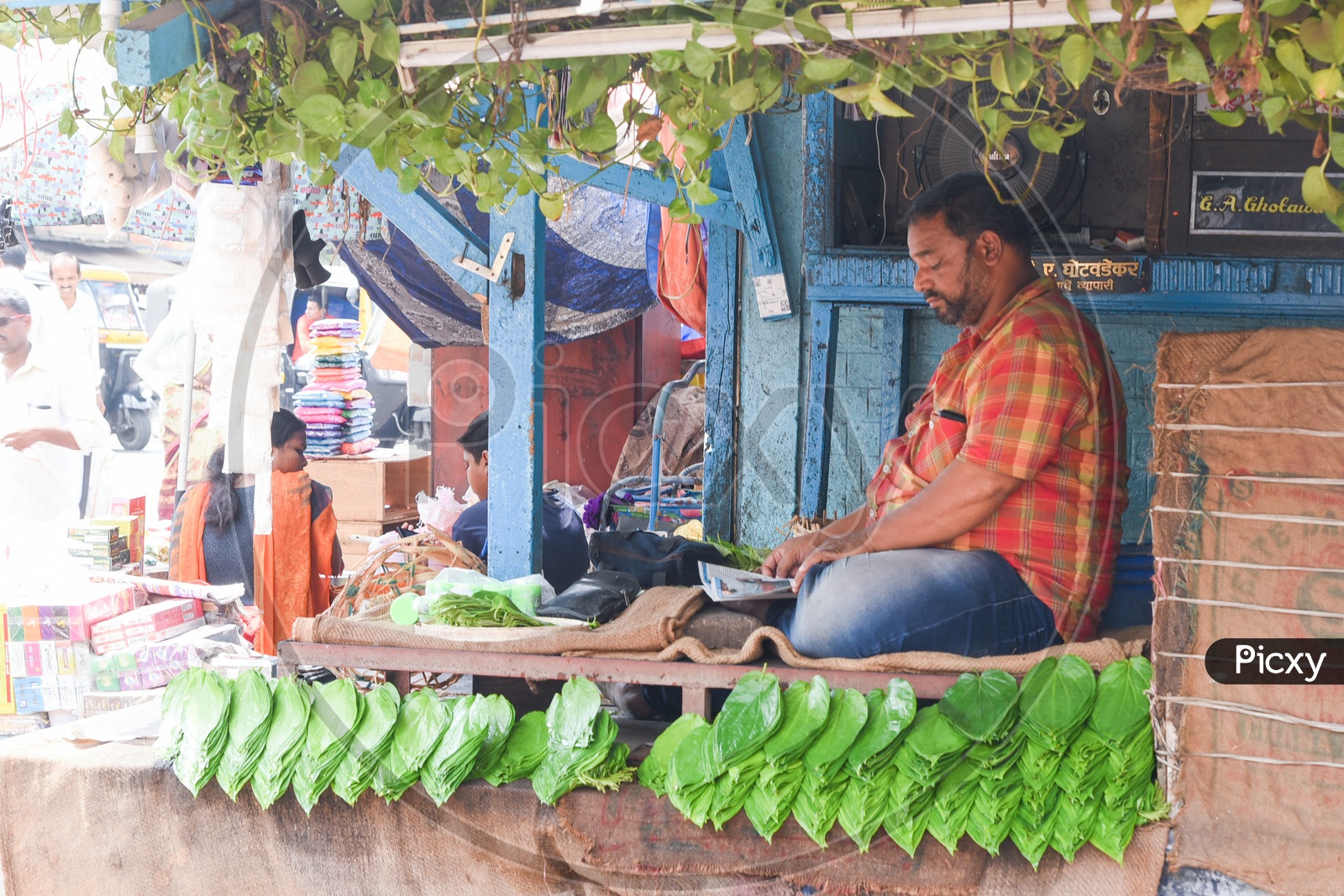 Beetel Leaf Vendor