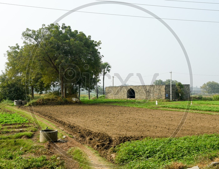 Farms in Fort Warangal Village