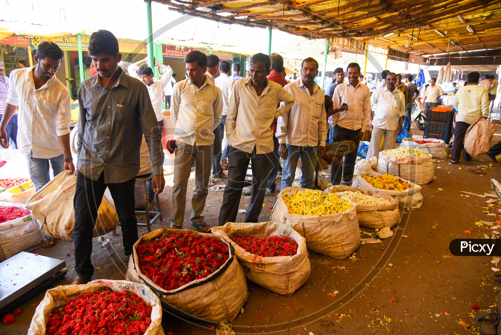 Image of Flower vendor at flower market in HyderabadSQ015925Picxy
