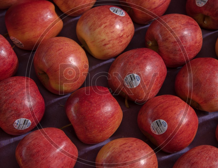 Apple Fruits