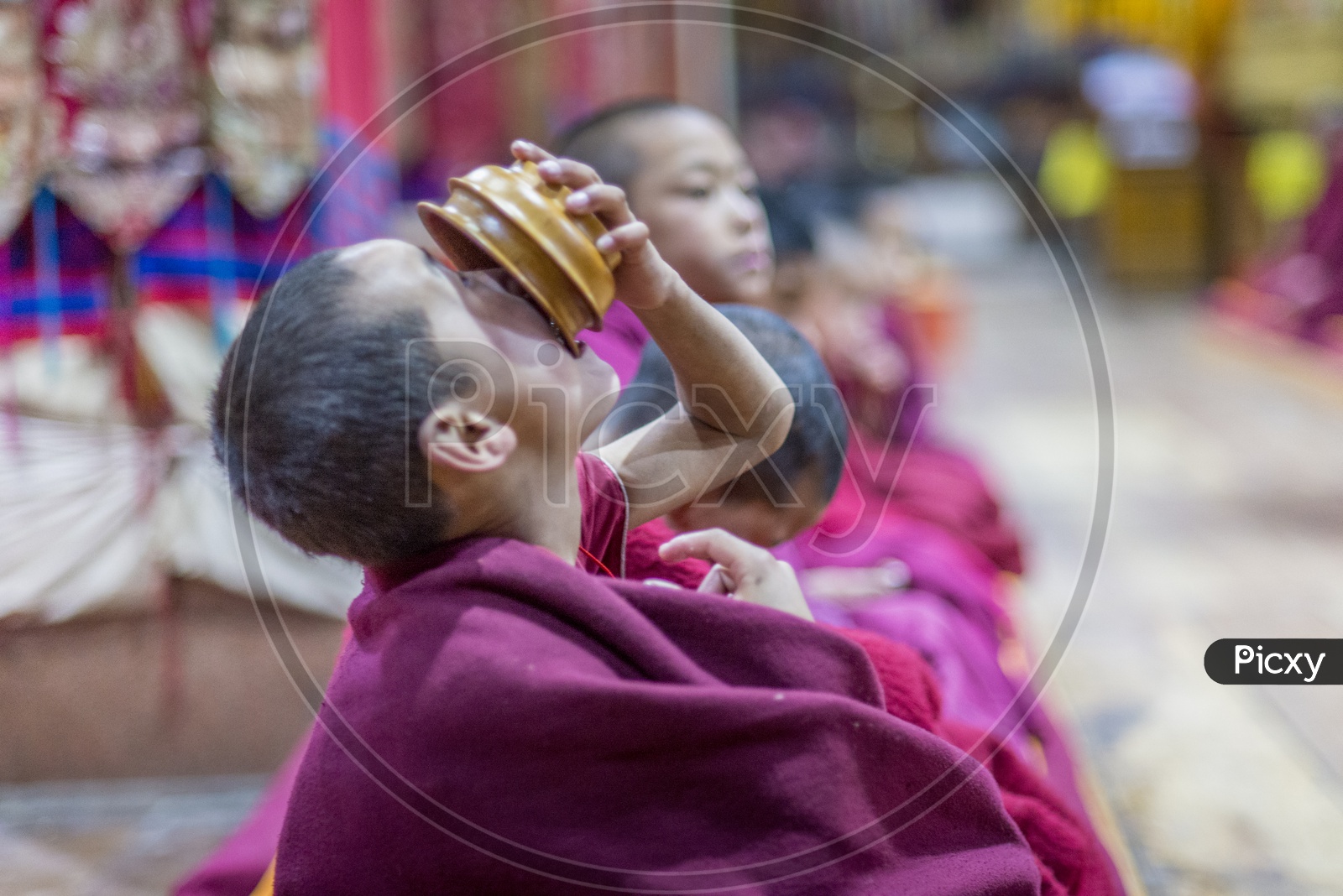 Child Buddhist Monks