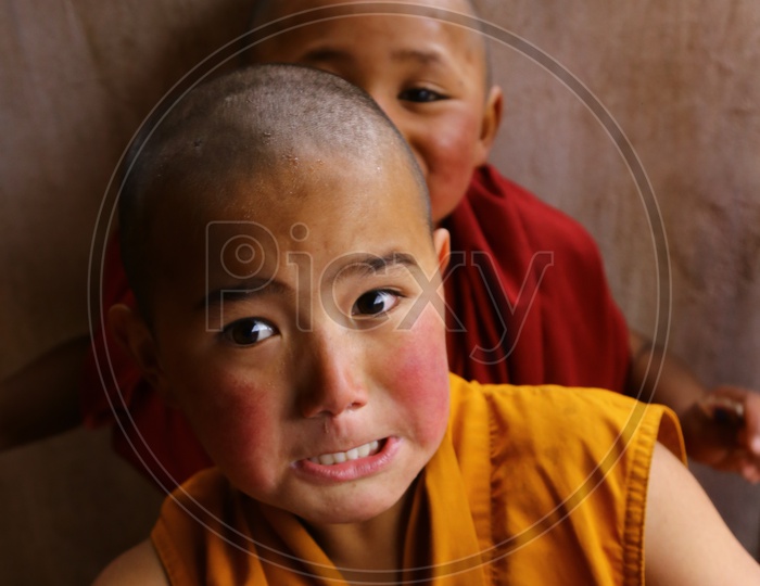 Child Buddhist Monks, Hemis Gompa Festival