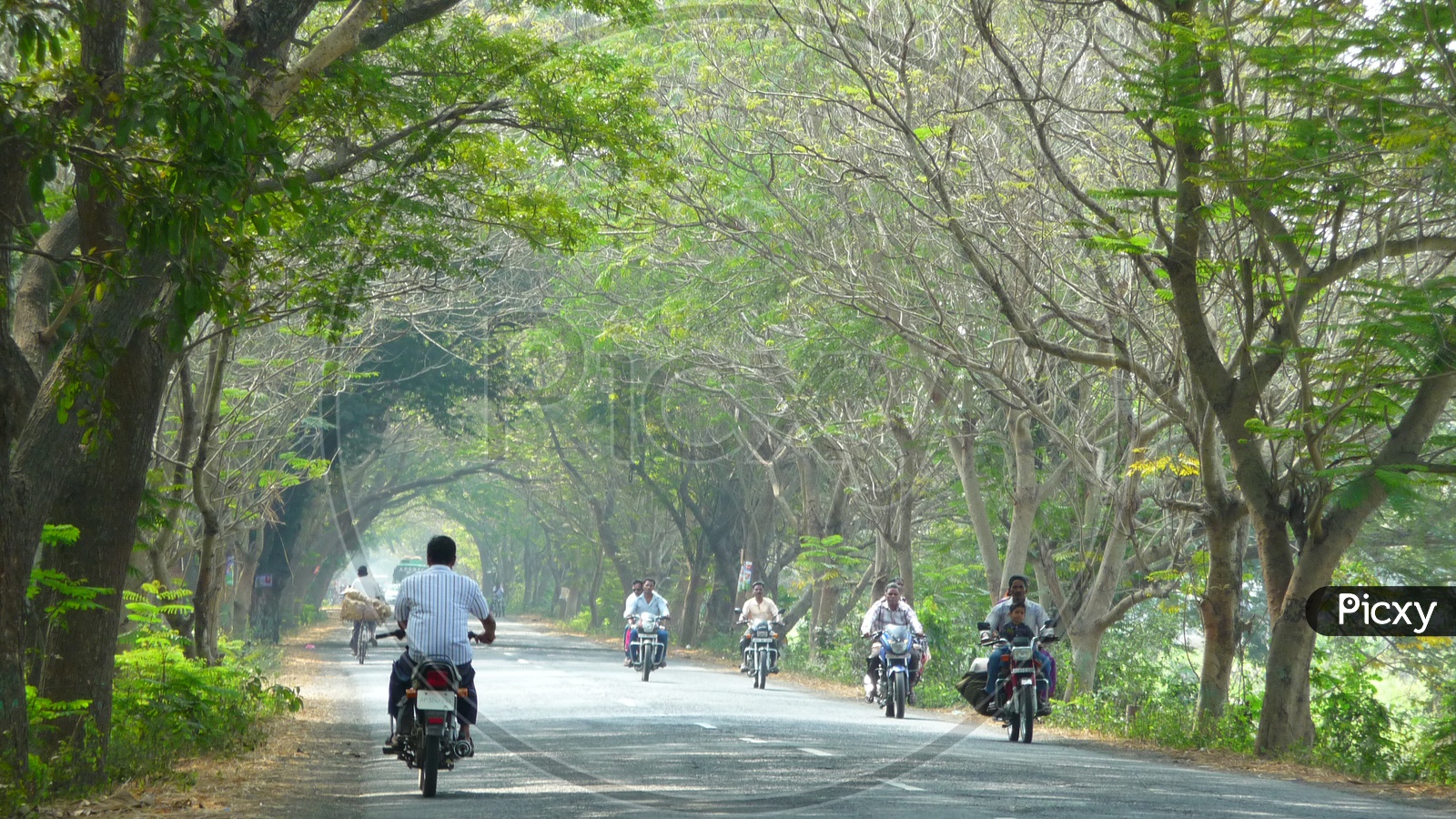 Road to Dindi Resorts