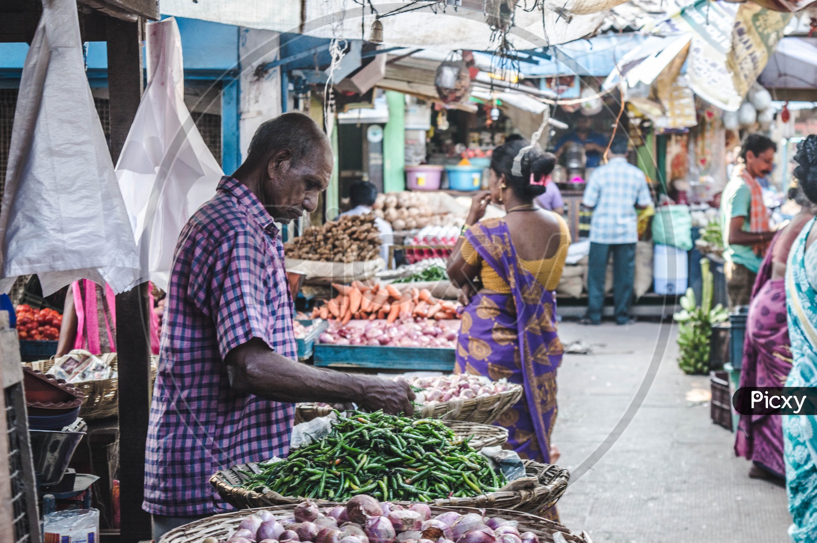 Vendor at Vegetable Market