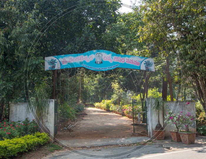 Sri venkateshware Medicinal Plant Garden, Tirumala,Tirupati.