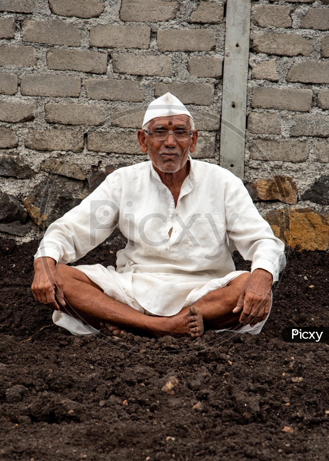 Elderly Farmer poses for a photo in his farm in Maharashtra