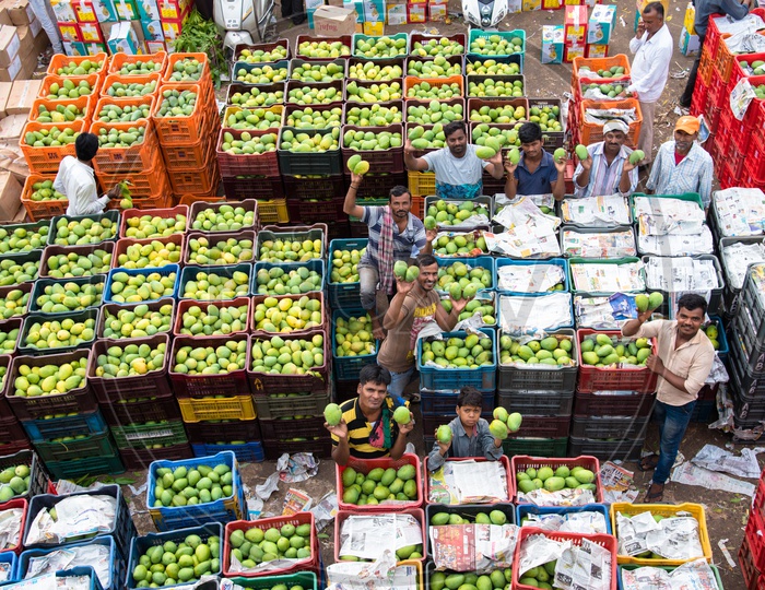 Mango sellers at Kothapet fruit market.
