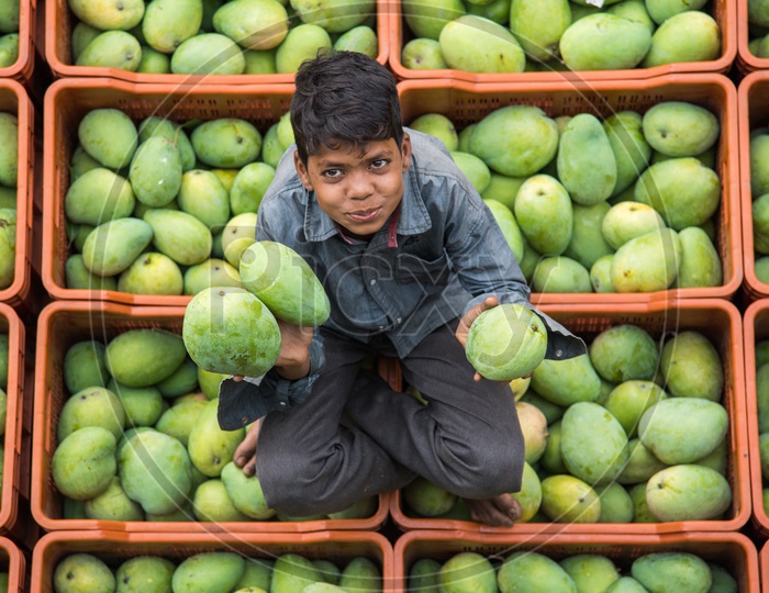 A kid posing to camera with their Mango yield at Kothapet Fruit Market.