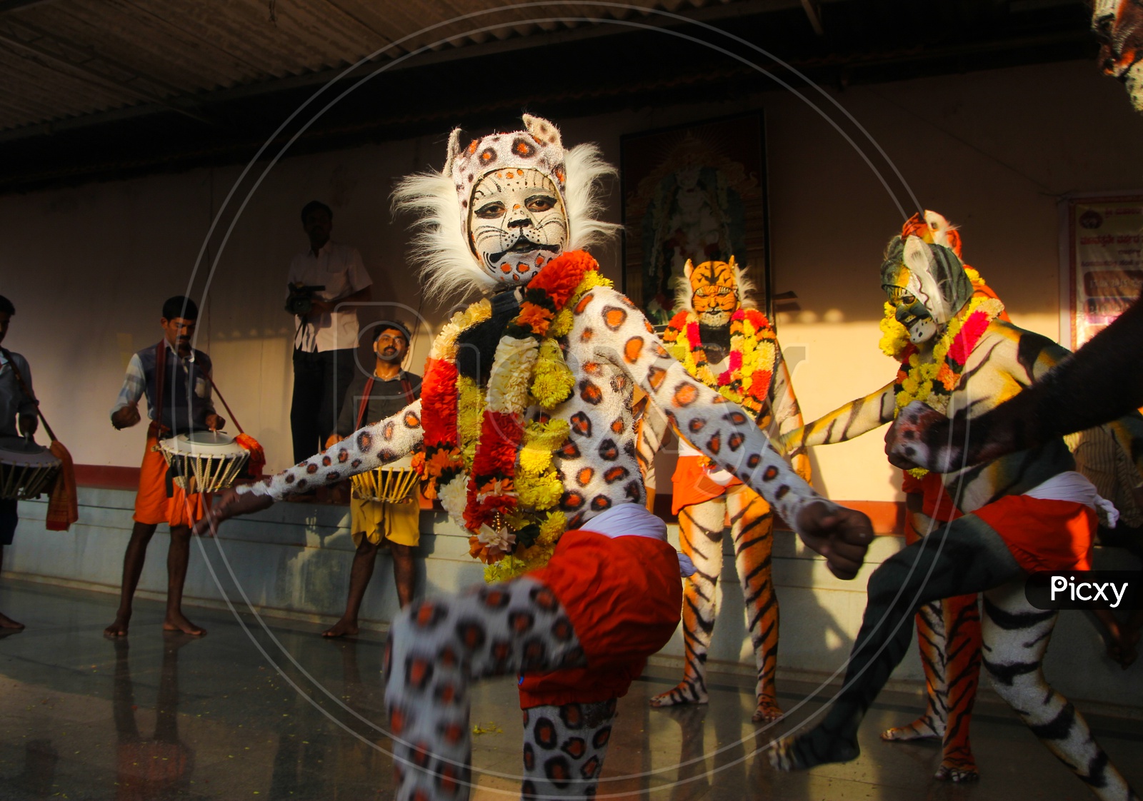 The Tiger Dance