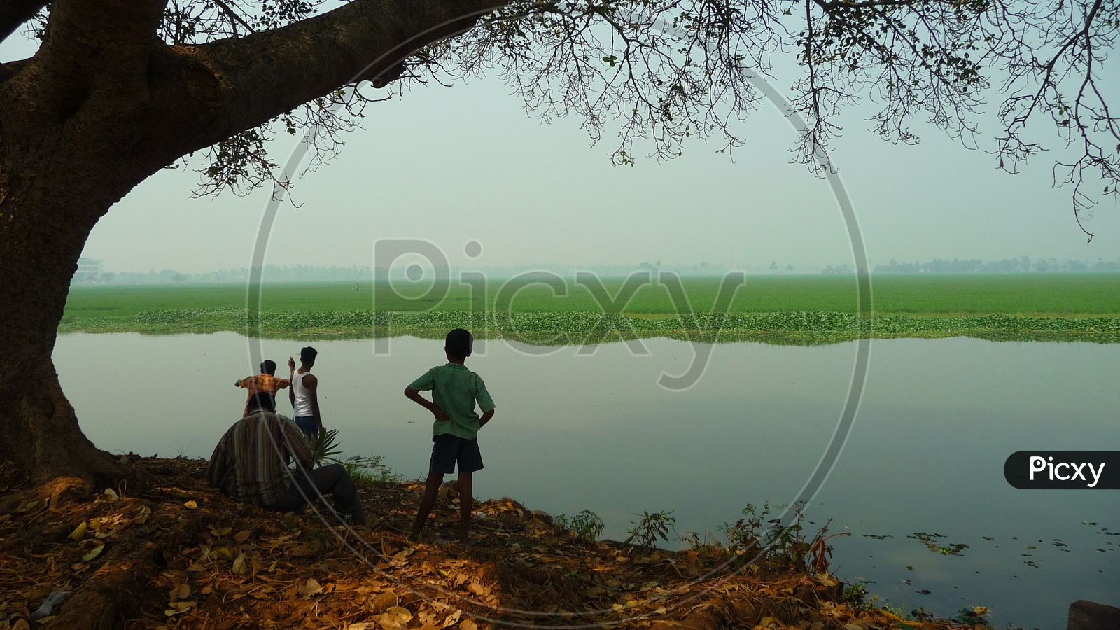 Kids near Agriculture Field
