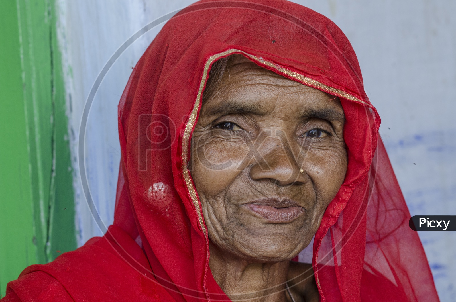 Smiling Rajasthani Woman in Mount Abu
