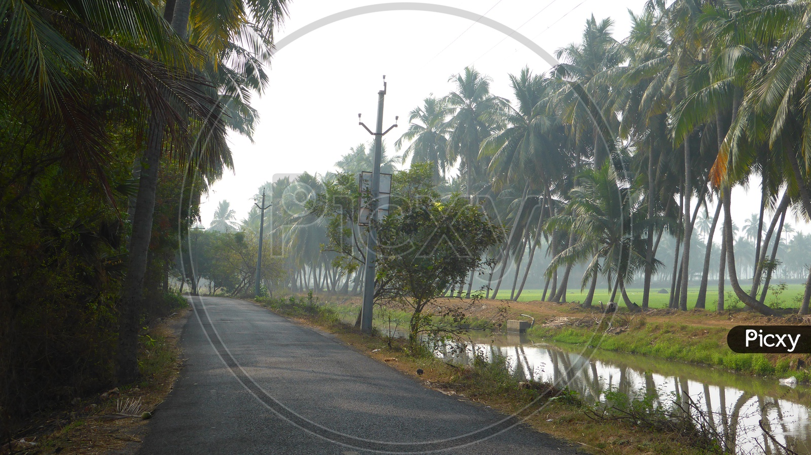 Roads in Narsapur