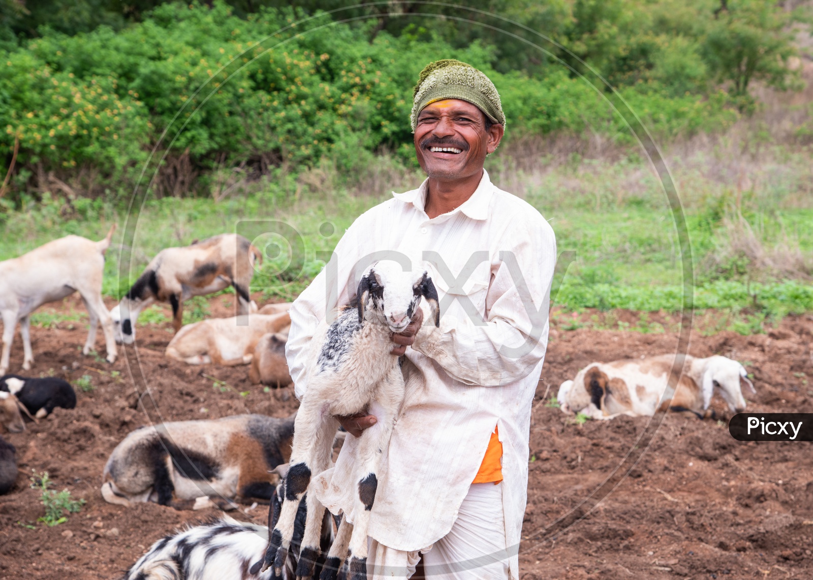 Shepherd carry a goat as he poses for a photo