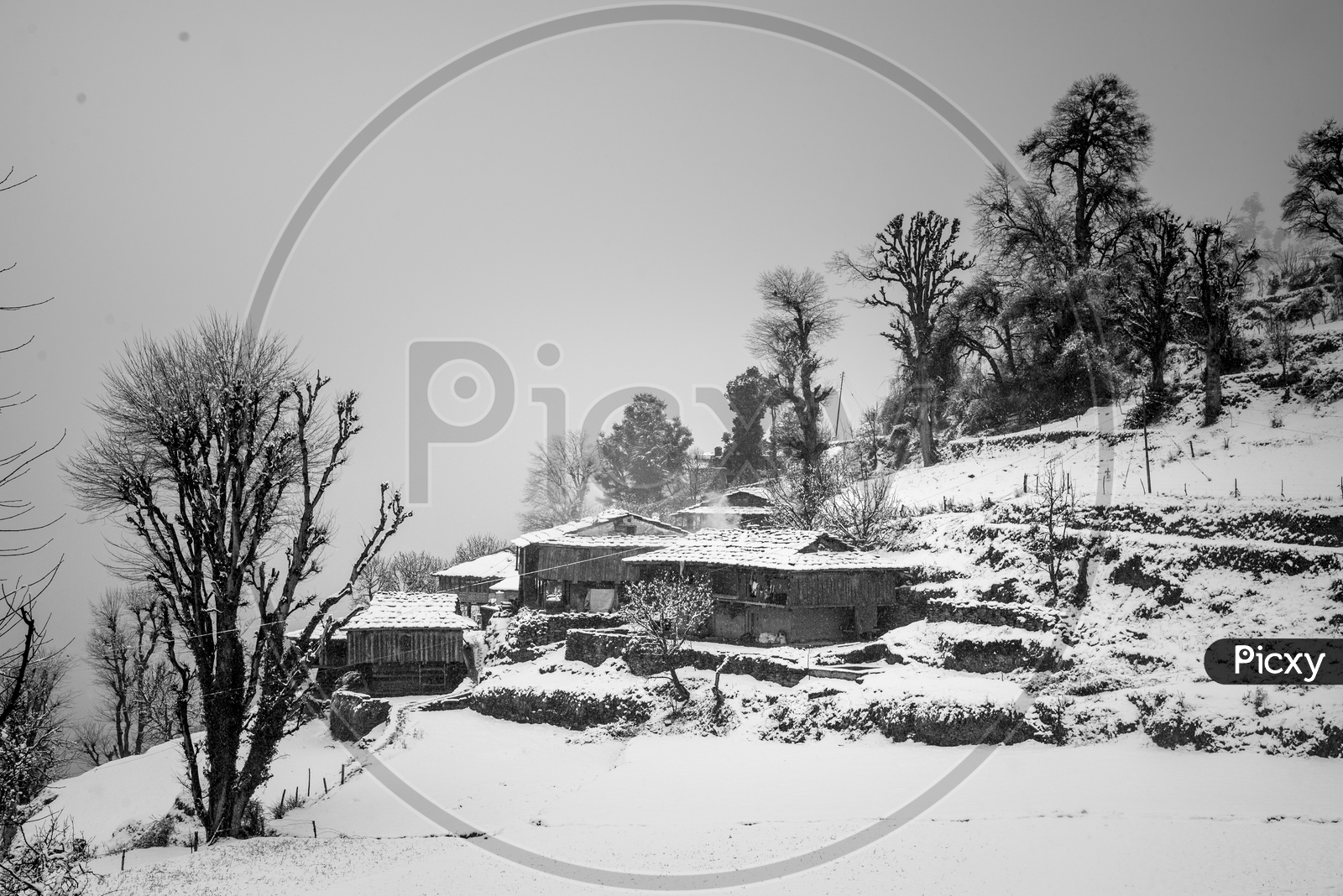 Snow Capped Houses at Jana Village near Manali