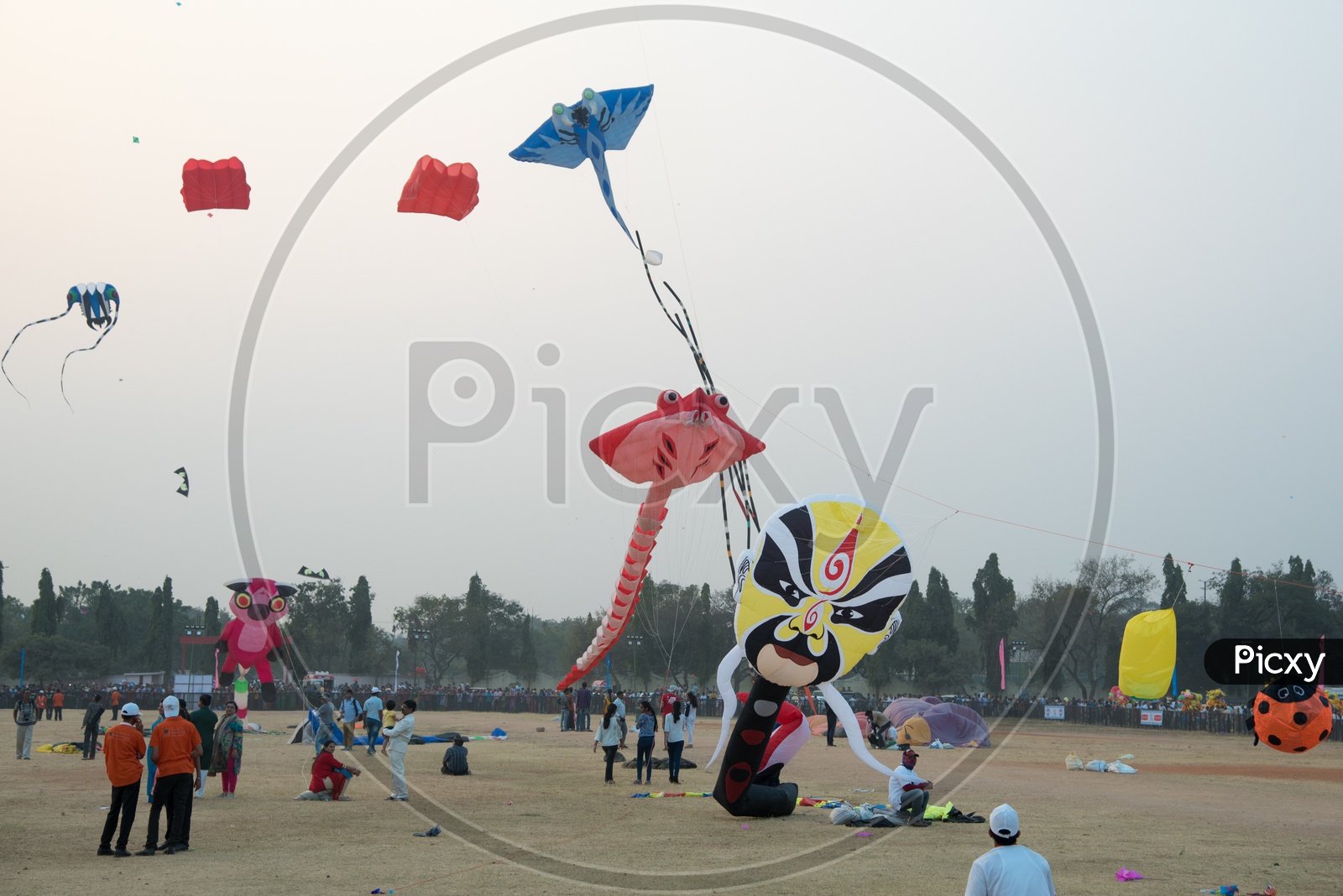 Kite Festival 2018