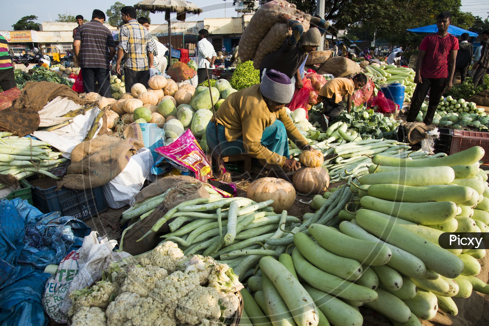 Vegetable Vendor at Gudimalkapur Flower Market