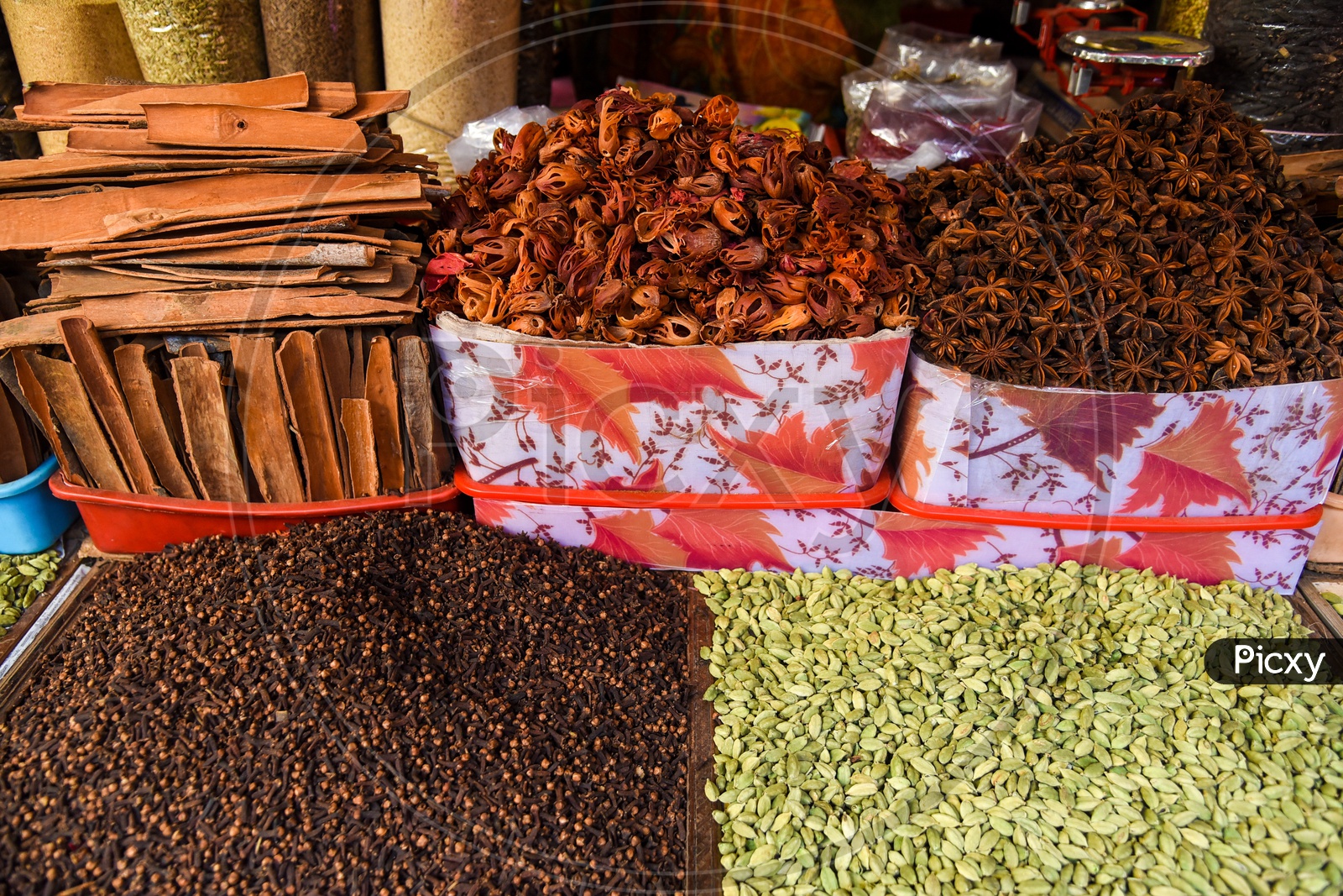 Assortment of Indian Spices