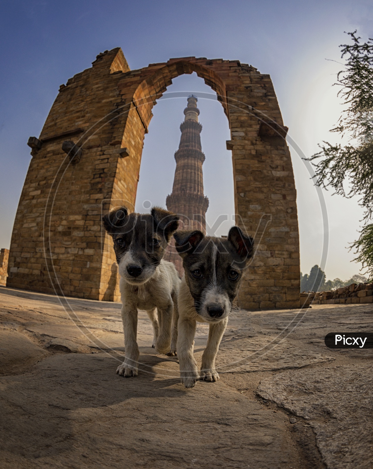 “Two much of Cuteness.” || Qutub Minar.