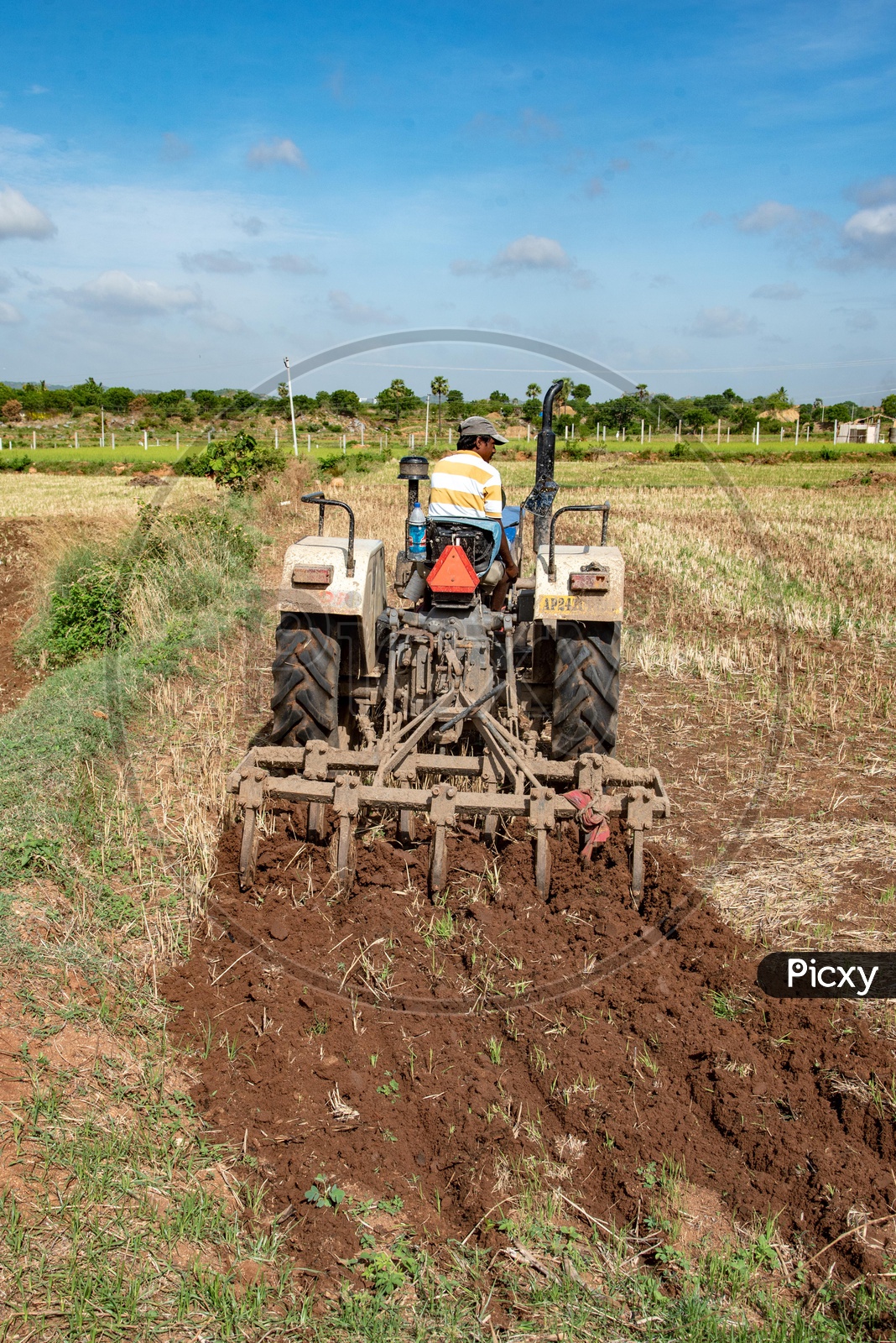 Farmer ploughs fields on tractor in a village in Telangana