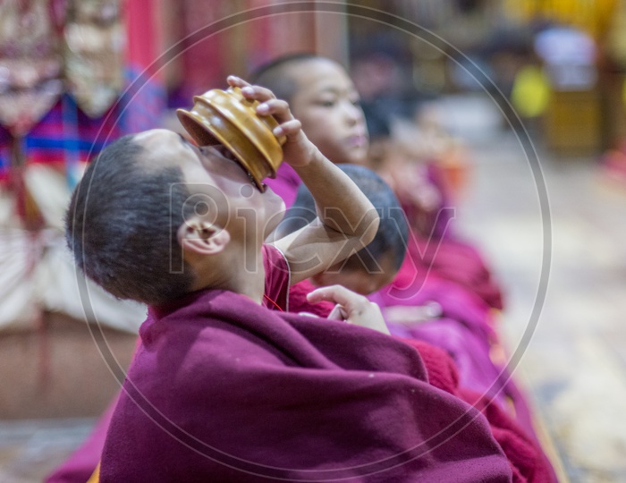 Child Buddhist Monks
