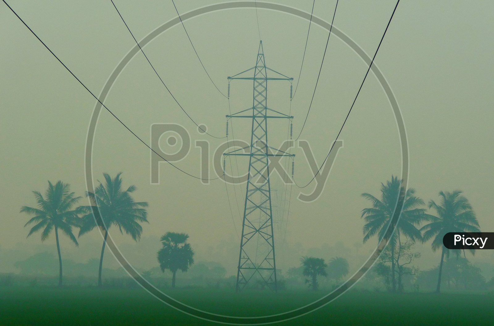 High Tension Transmission Lines in Paddy Fields
