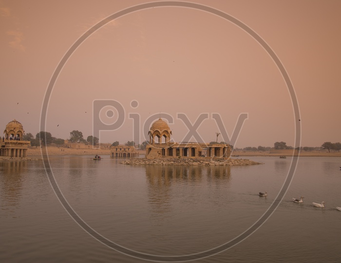 Ducks in Gadisar Lake, Jaisalmer