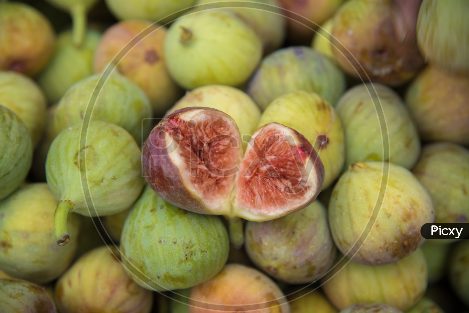 Image of AnjeeraAnjeerFigCommon Fig fruit.-EG752316-Picxy