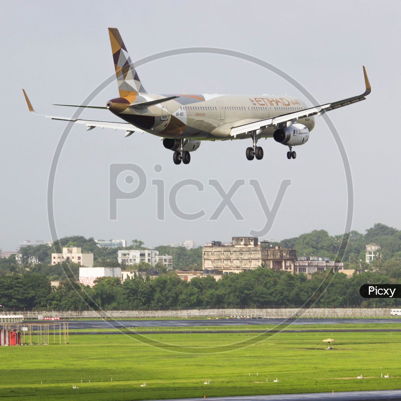 Etihad airways A321 flaring over runway for its touchdown.