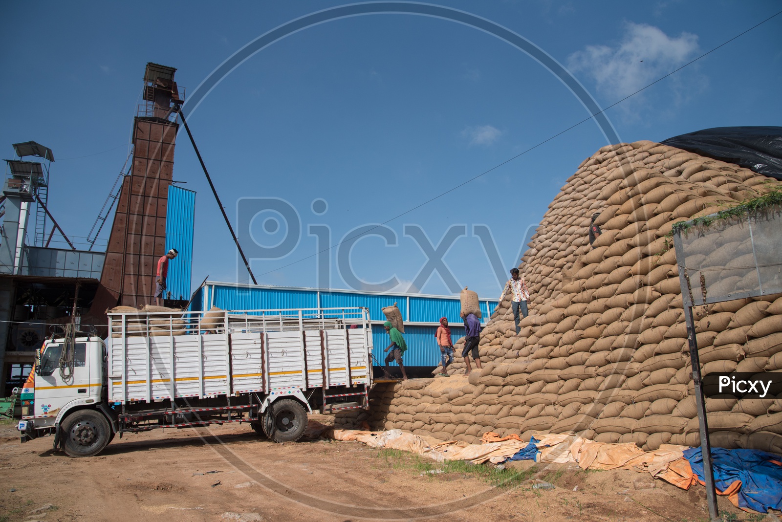 Loading Rice Bales onto Truck