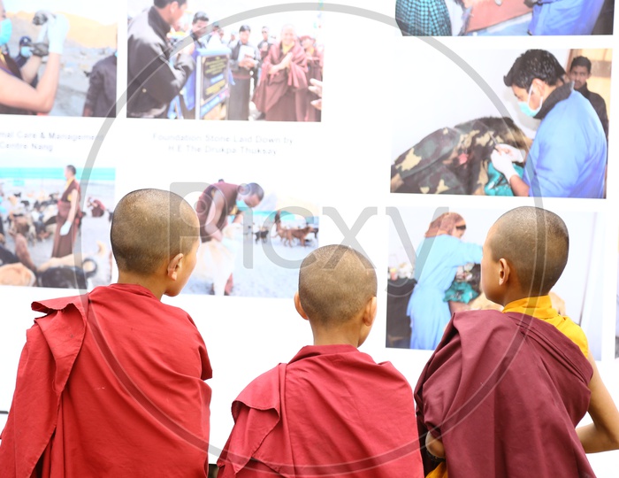 Child Buddhist Monks at Photo Gallery, Hemis Gompa Festival