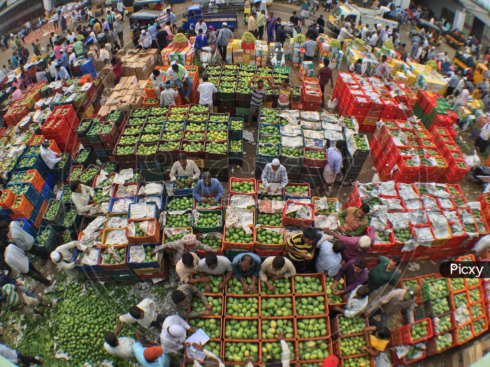 Fruit Market/Mango Market/Farmer's Market/Raithu Bazar