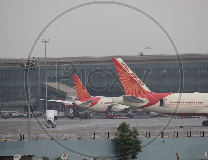 Air India Tail