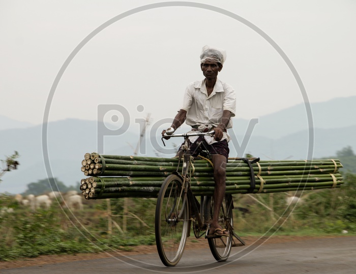 Farmer Working In Bamboo Forest