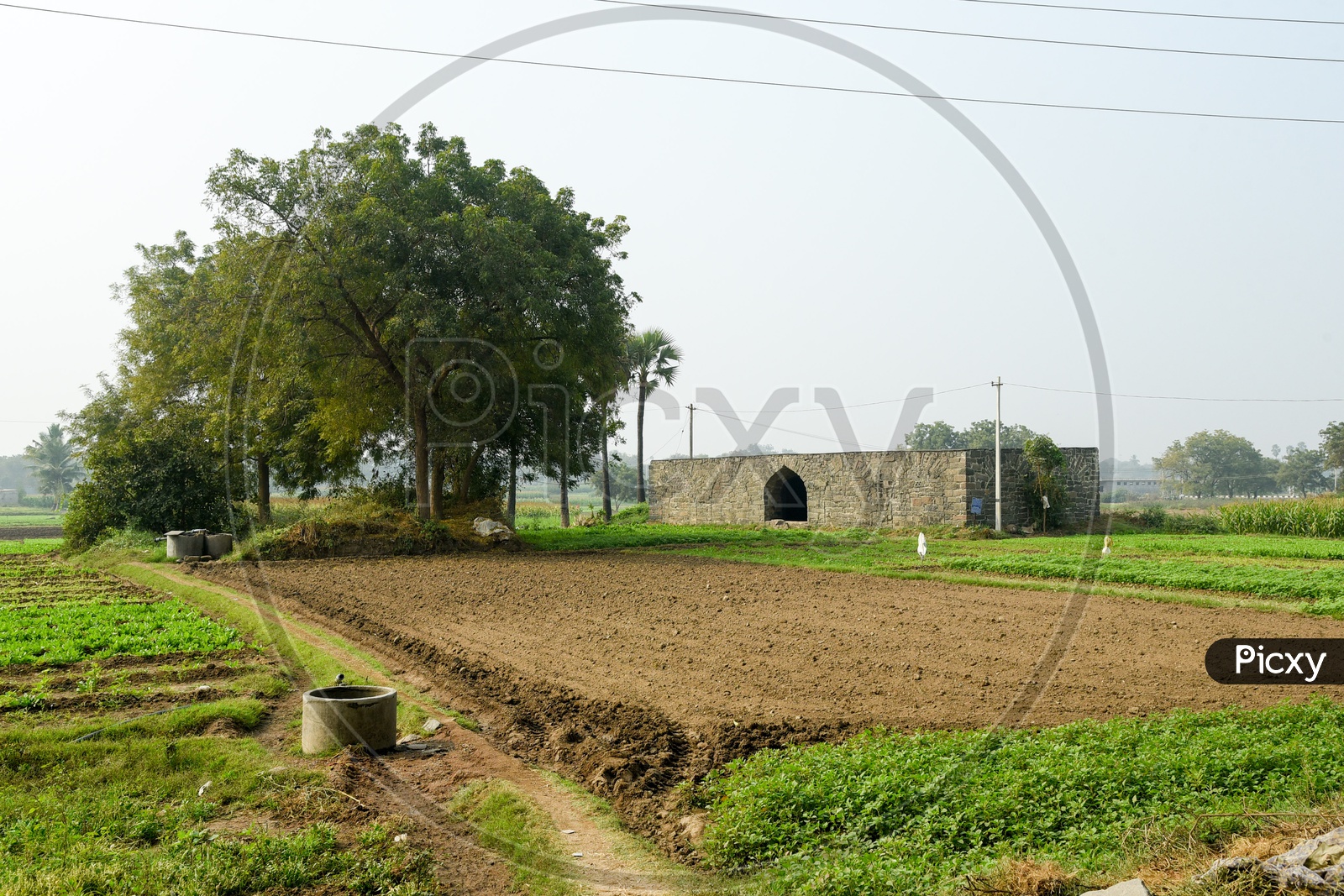 Farms in Fort Warangal Village