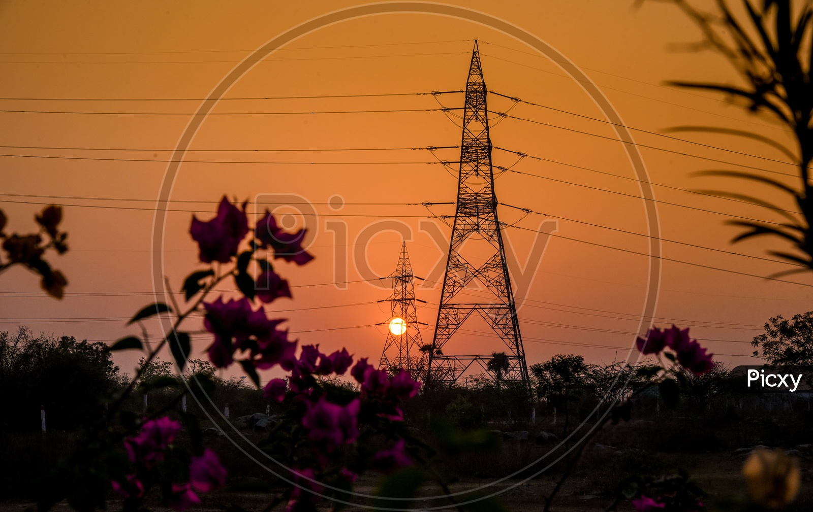 Power Lines at Sunrise
