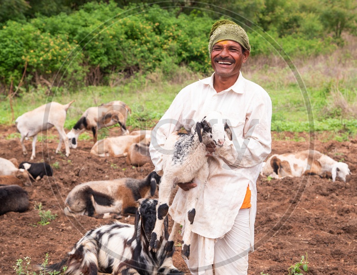 A Happy Shepherd in a village in Maharashtra