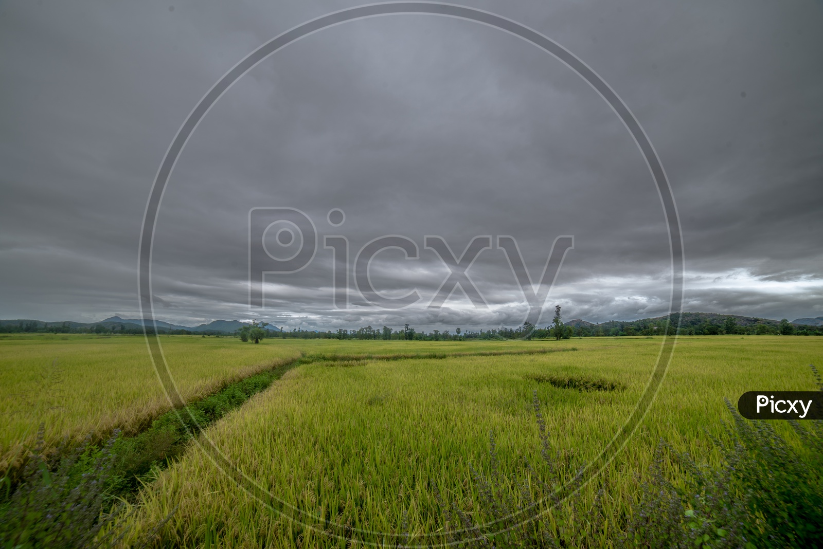beautiful fields on a cloudy day