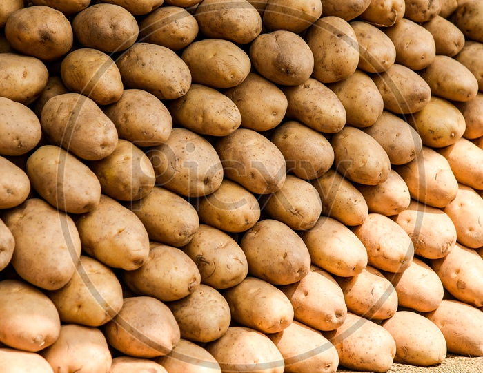 Potatoes displayed for sale.