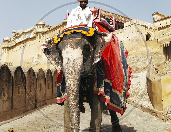 Elephant Ride at Amer Fort