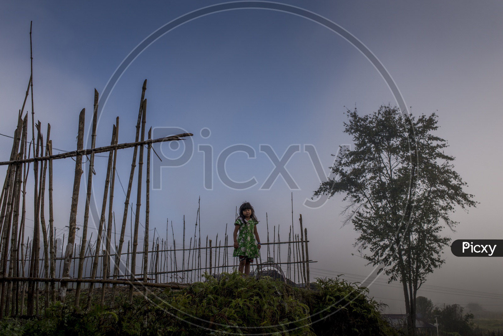 Girl in Ziro, Arunachal Pradesh
