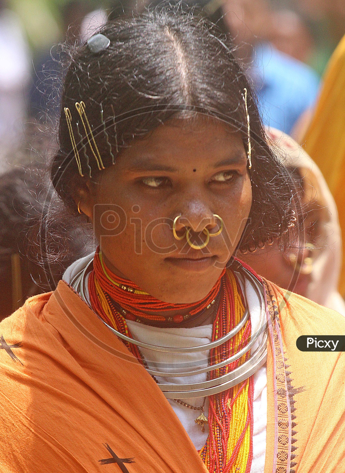 Dangaria Kandha Tribe of Odisha